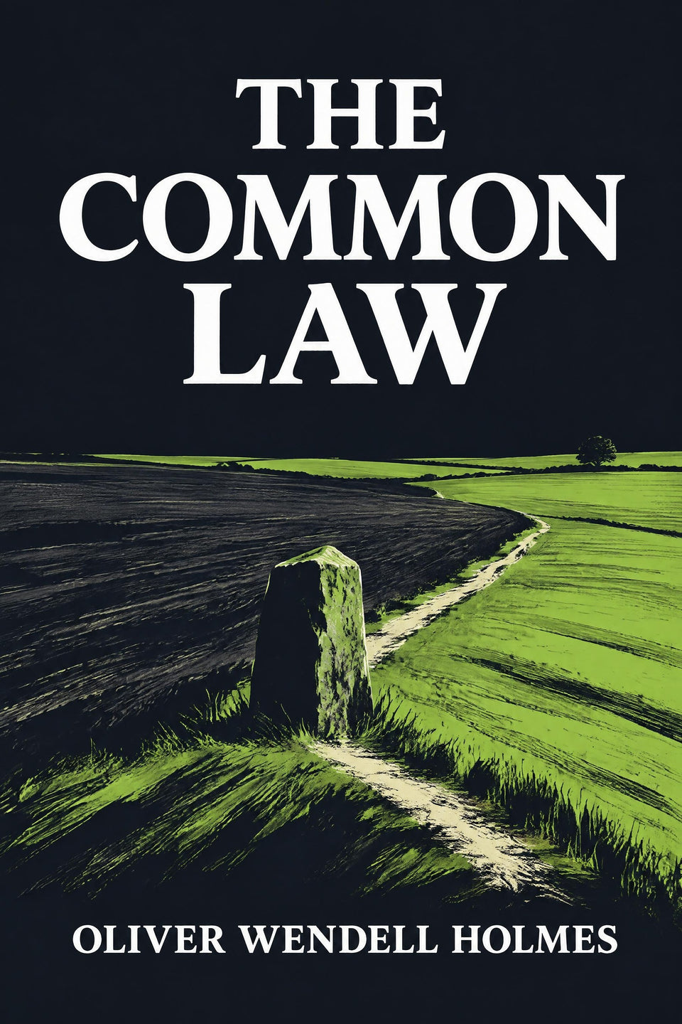 The Common Law — Large Print by Oliver Wendell Holmes, the cover