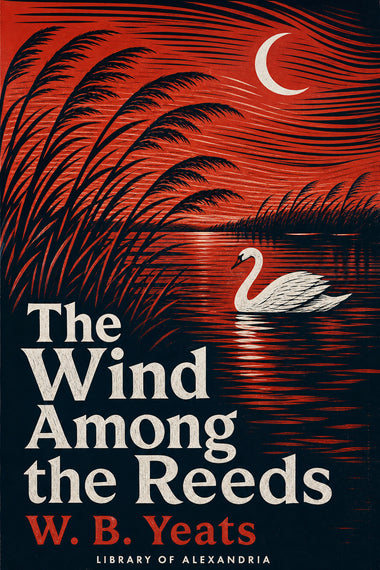 Der Wind zwischen den Schilfrohren