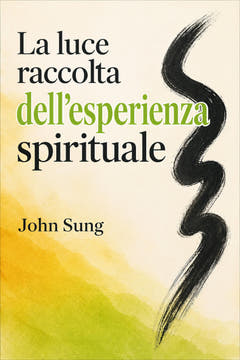 La luce raccolta dell’esperienza spirituale, the cover of this edition