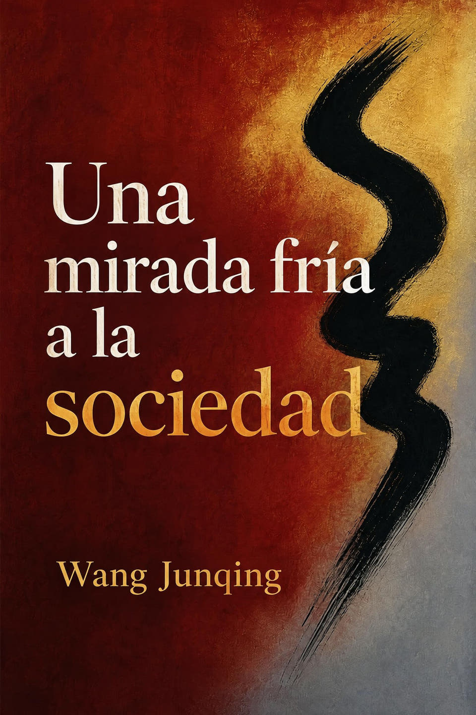 Una mirada fría a la sociedad by Wang Junqing, the cover