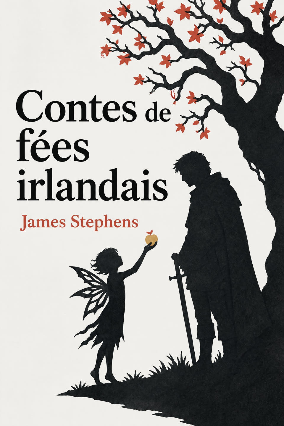 Contes de fées irlandais by James Stephens, the cover