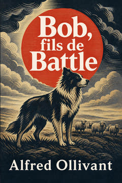Bob, fils de Battle, the cover of this edition