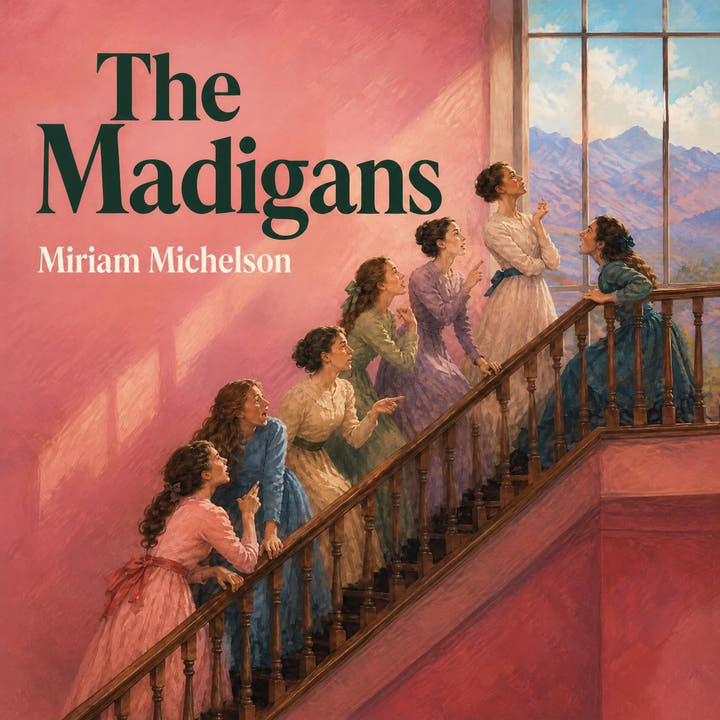 Die Madigans, the audiobook cover